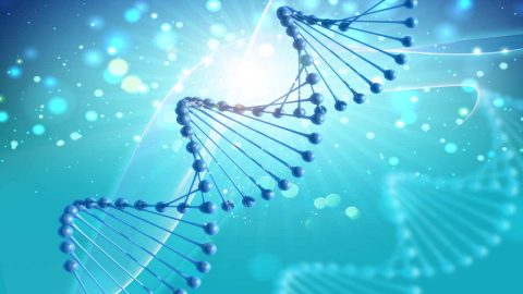 अनुवंशिकता,कर्करोग आणि जेनेटिक टेस्टींग